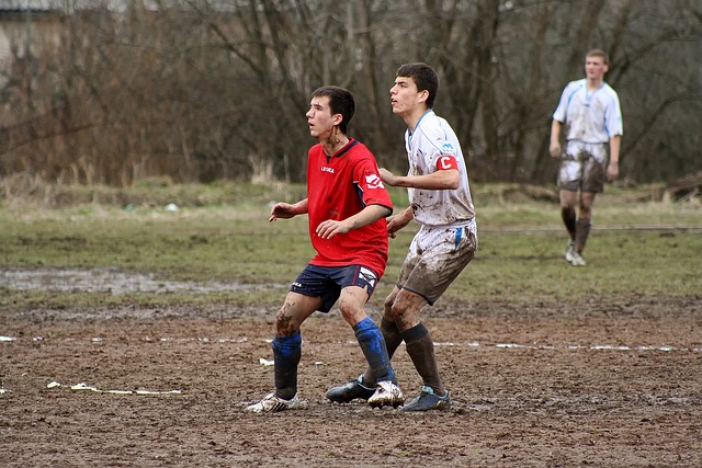 这也导致在 这也导致在